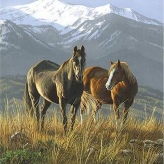 Smoky Valley Panel Quilt Boxed Kit