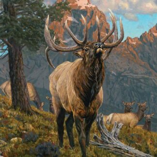 Riley Blake - Majestic in Nature PD15980 (Panel)