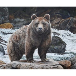 Riley Blake - Majestic in Nature PD15984 (Panel)