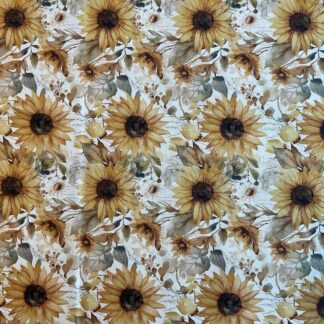 Evening on the Prairie CD16743 (Cream)