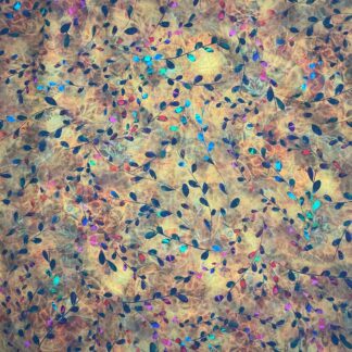 Venice AQSD-19720-129 (Marigold)