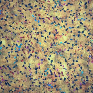 Venice AQSD-19720-5 (Yellow)