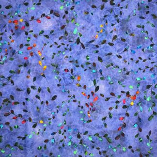 Venice AQSD-19720-61 (Periwinkle)